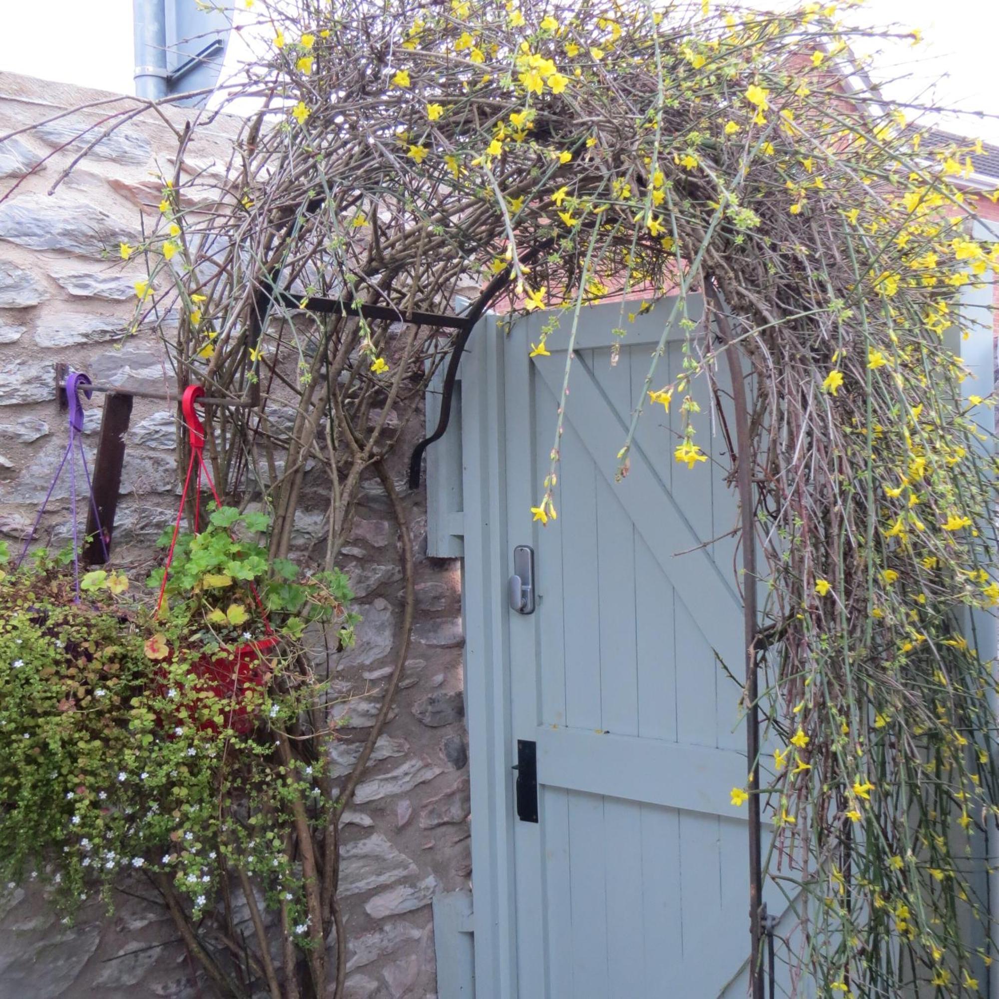 Frog Palace - Secure Parking-Outside Area-Topsham-Exeter-Beach-Chiefs-Wifi 外观 照片